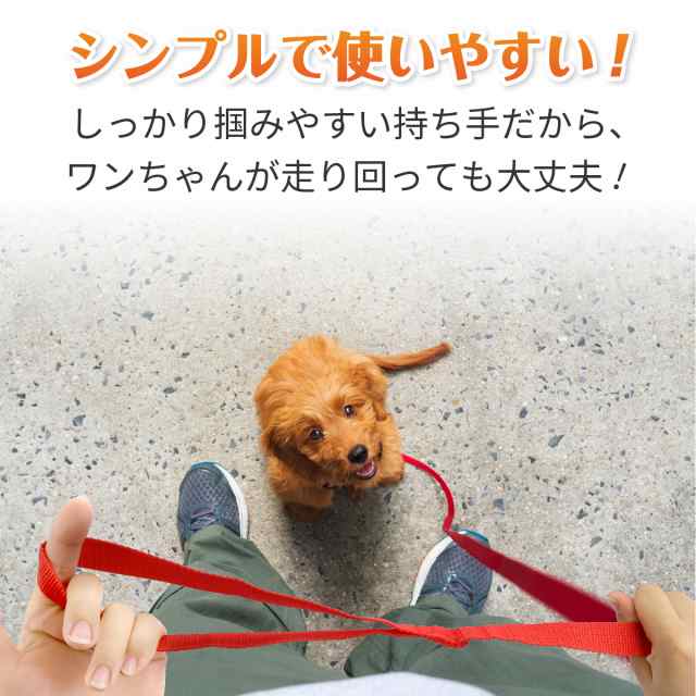 5色から選べる】ロング リード 30m 犬用リード ロングリード 散歩